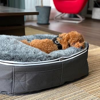 ambient lounge 犬用ベッド Sサイズ グレー Amazon | ペットベッド 日本製 洗える 撥水 低反発クッション 犬